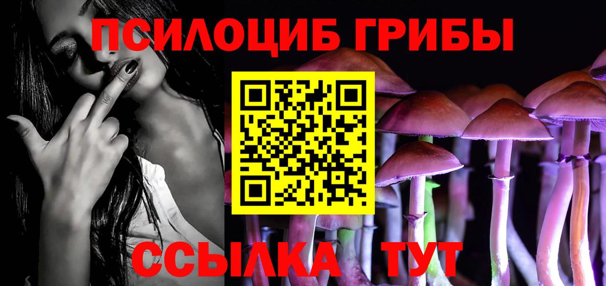 Челябинск  Галлюциногенные грибы MAGIC MUSHROOMS  Вход с VPN 